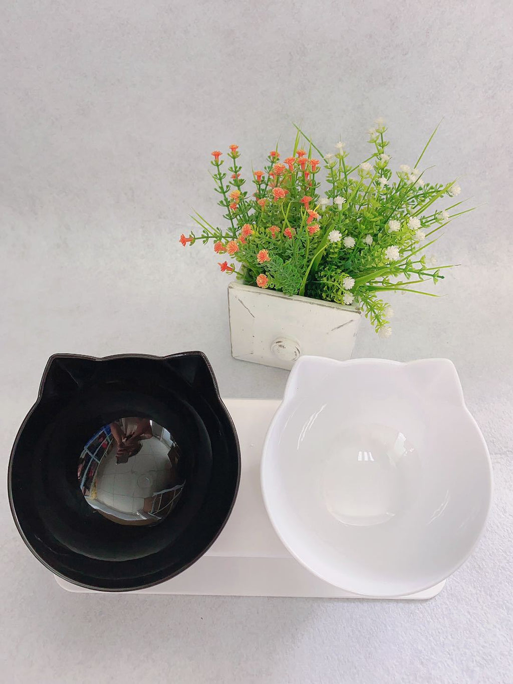Elevated Cat Double Bowl Feeder – 15° Tilt, Cervical Spine Protection