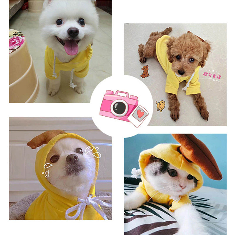 Fruit Print Dog Hoodie – Warm Fleece Coat for Small Dogs & Cats